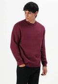 TOMMY JEANS SUDADERA REGULAR FIT BURDEOS