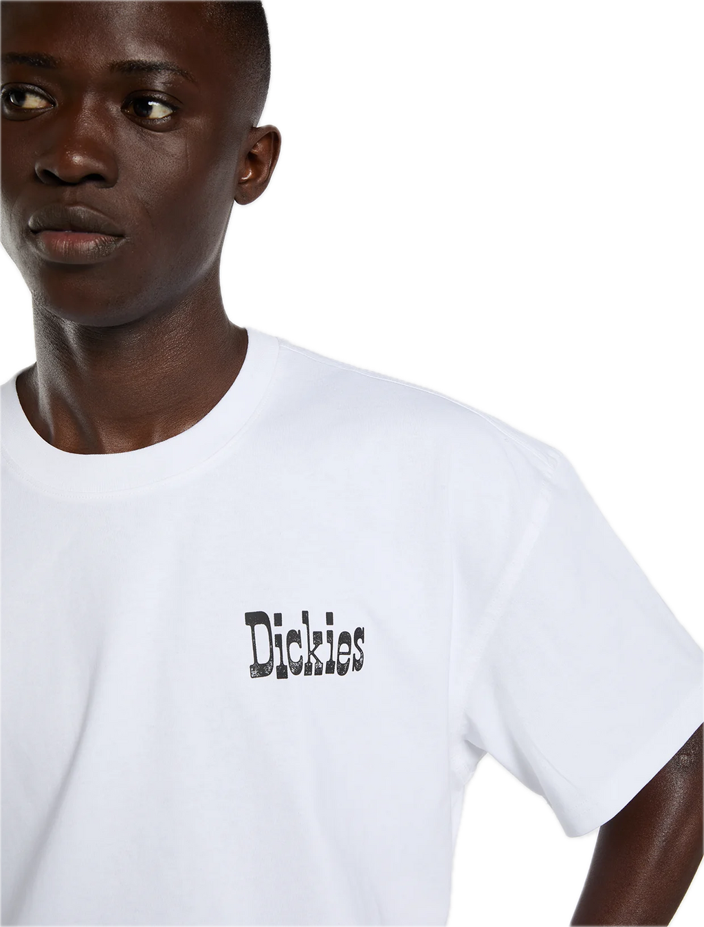 DICKIES CAMISETA PLAIN CITY BLANCA