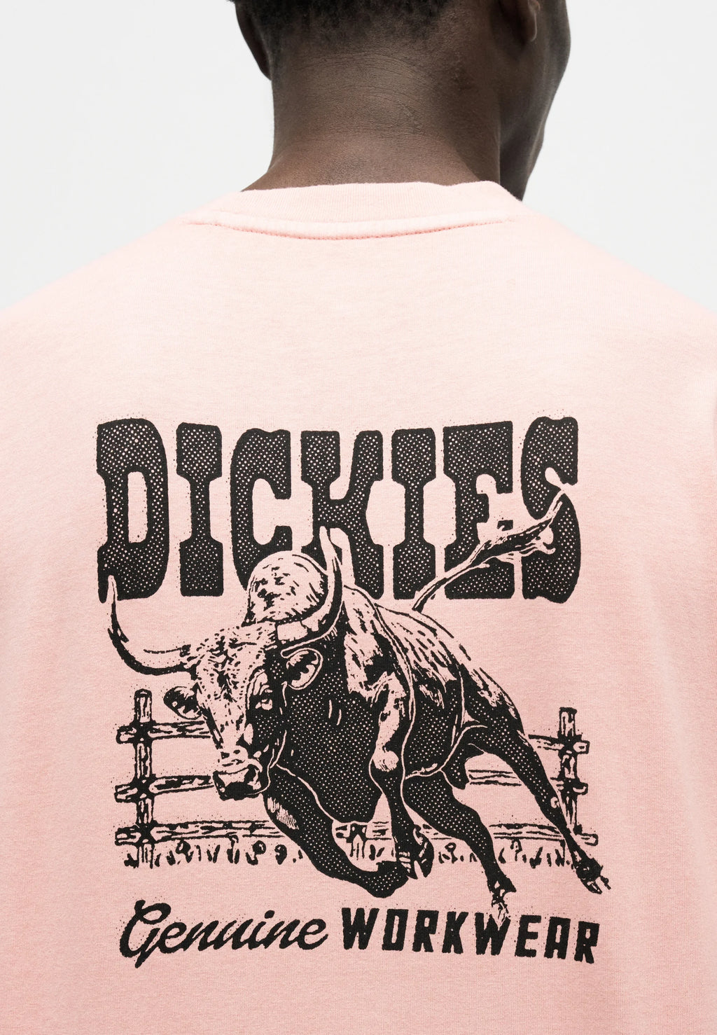 DICKIES CAMISETA BUCHTEL ROSA