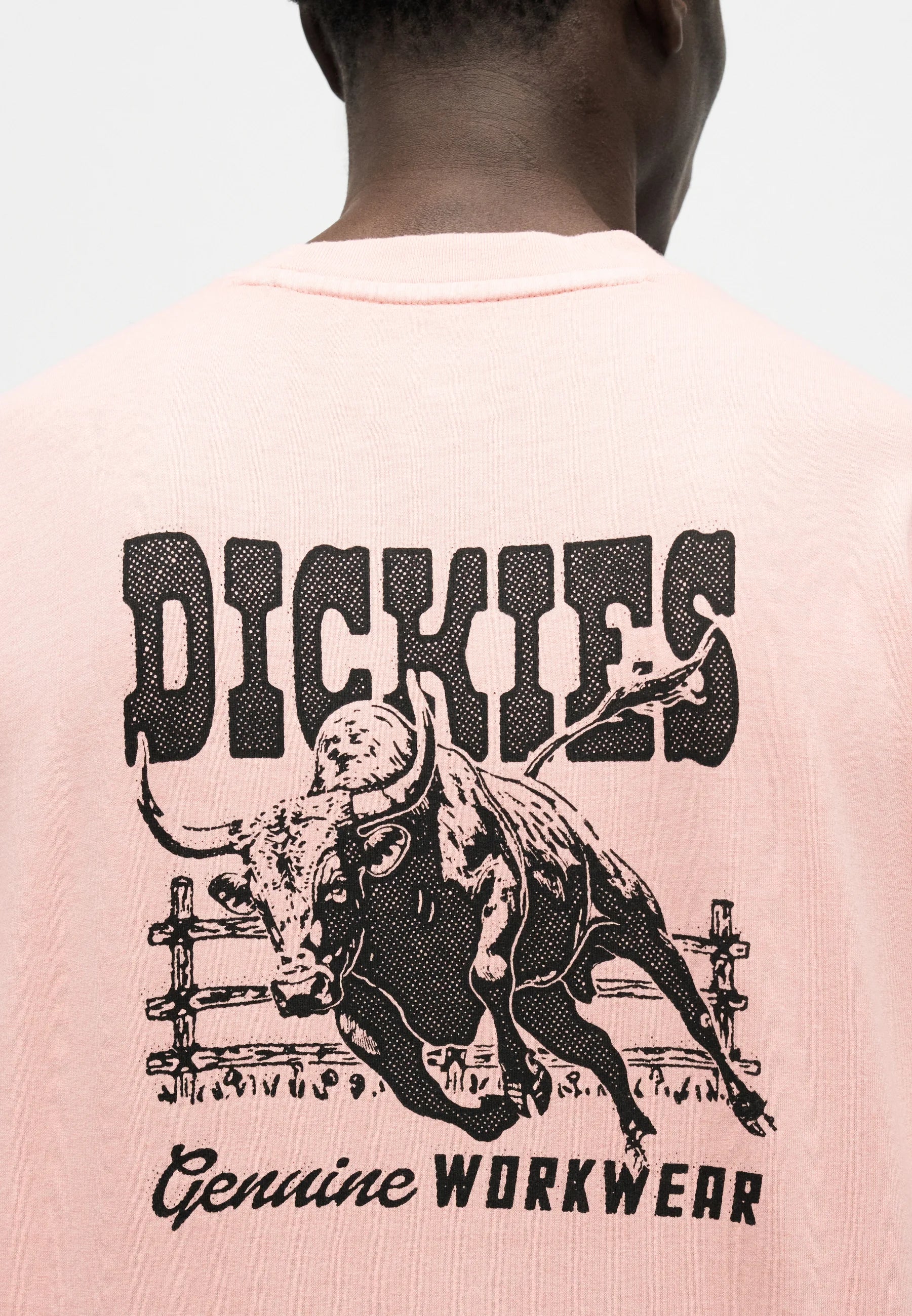 DICKIES CAMISETA BUCHTEL ROSA