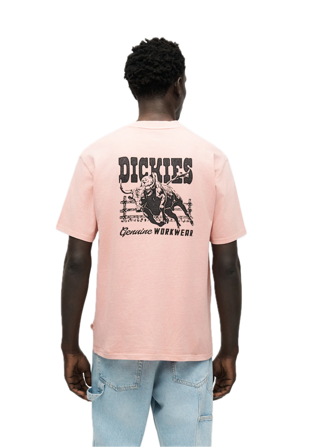 DICKIES CAMISETA BUCHTEL ROSA