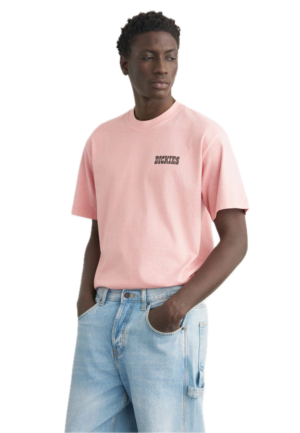 DICKIES CAMISETA BUCHTEL ROSA