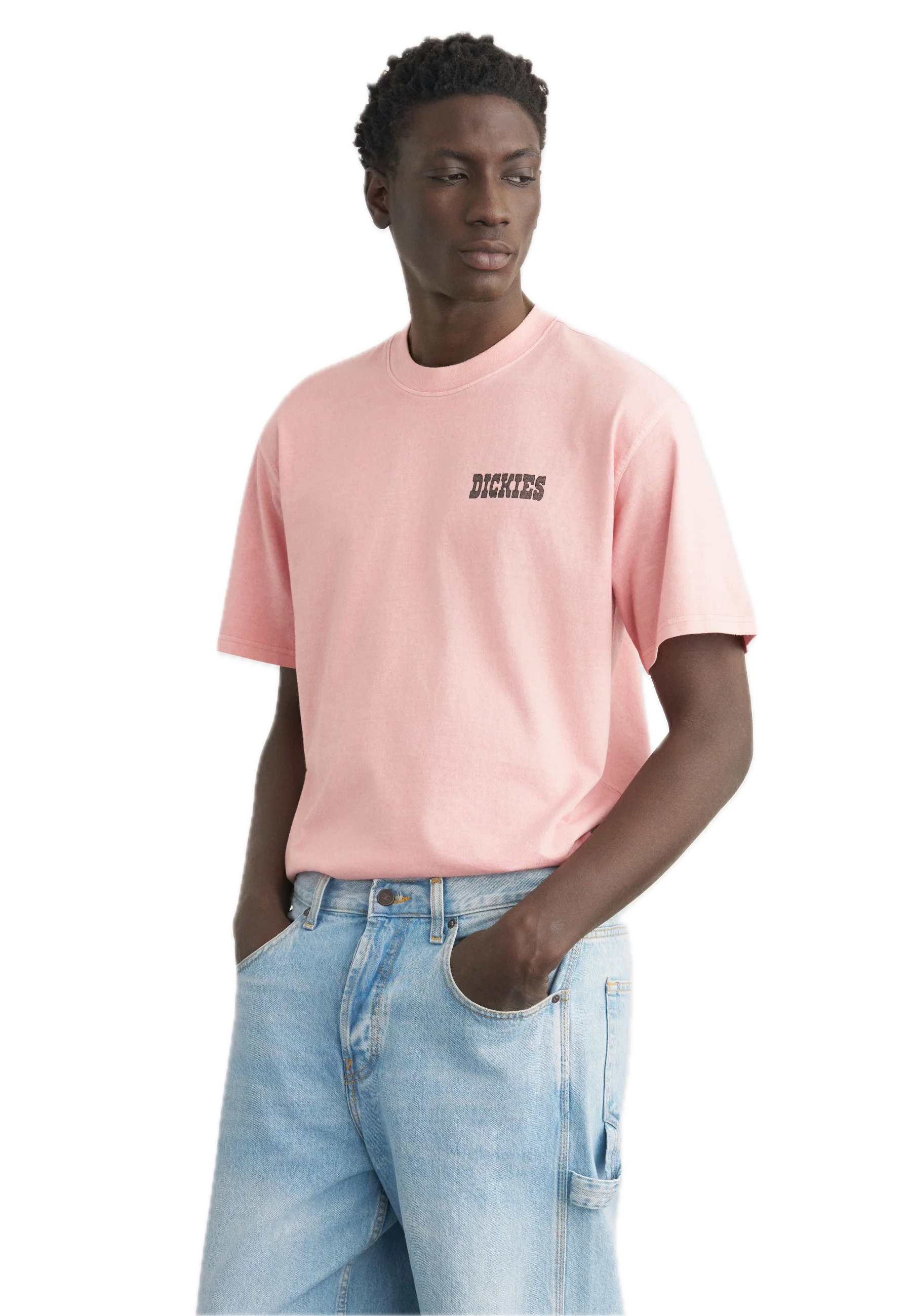 DICKIES CAMISETA BUCHTEL ROSA