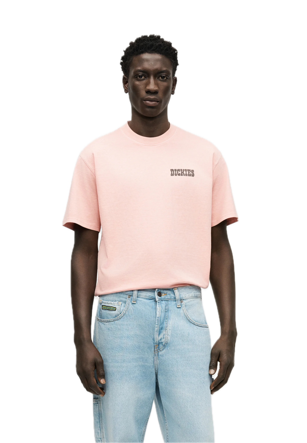 DICKIES CAMISETA BUCHTEL ROSA