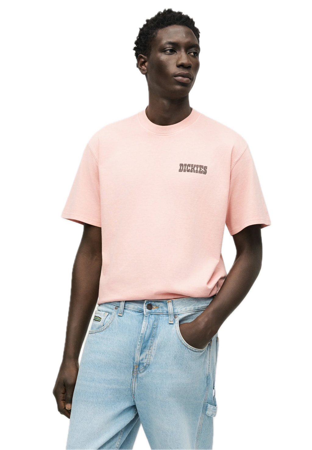 DICKIES CAMISETA BUCHTEL ROSA