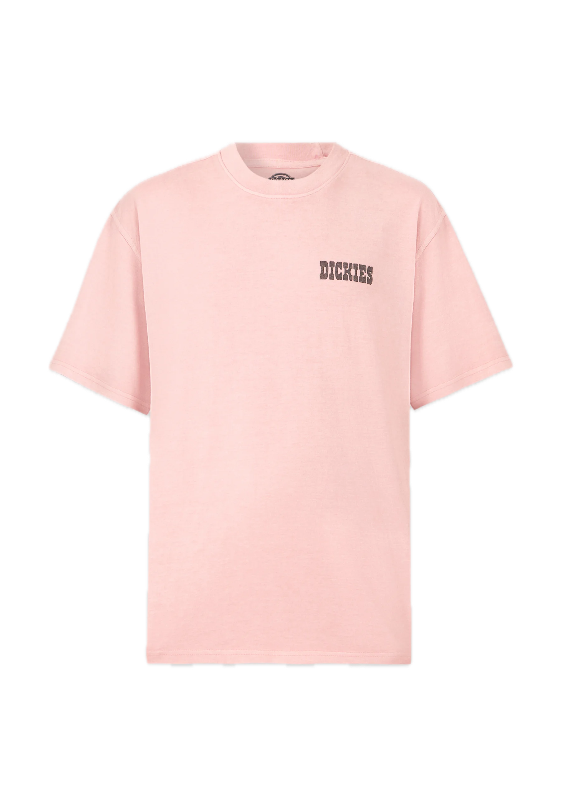 DICKIES CAMISETA BUCHTEL ROSA