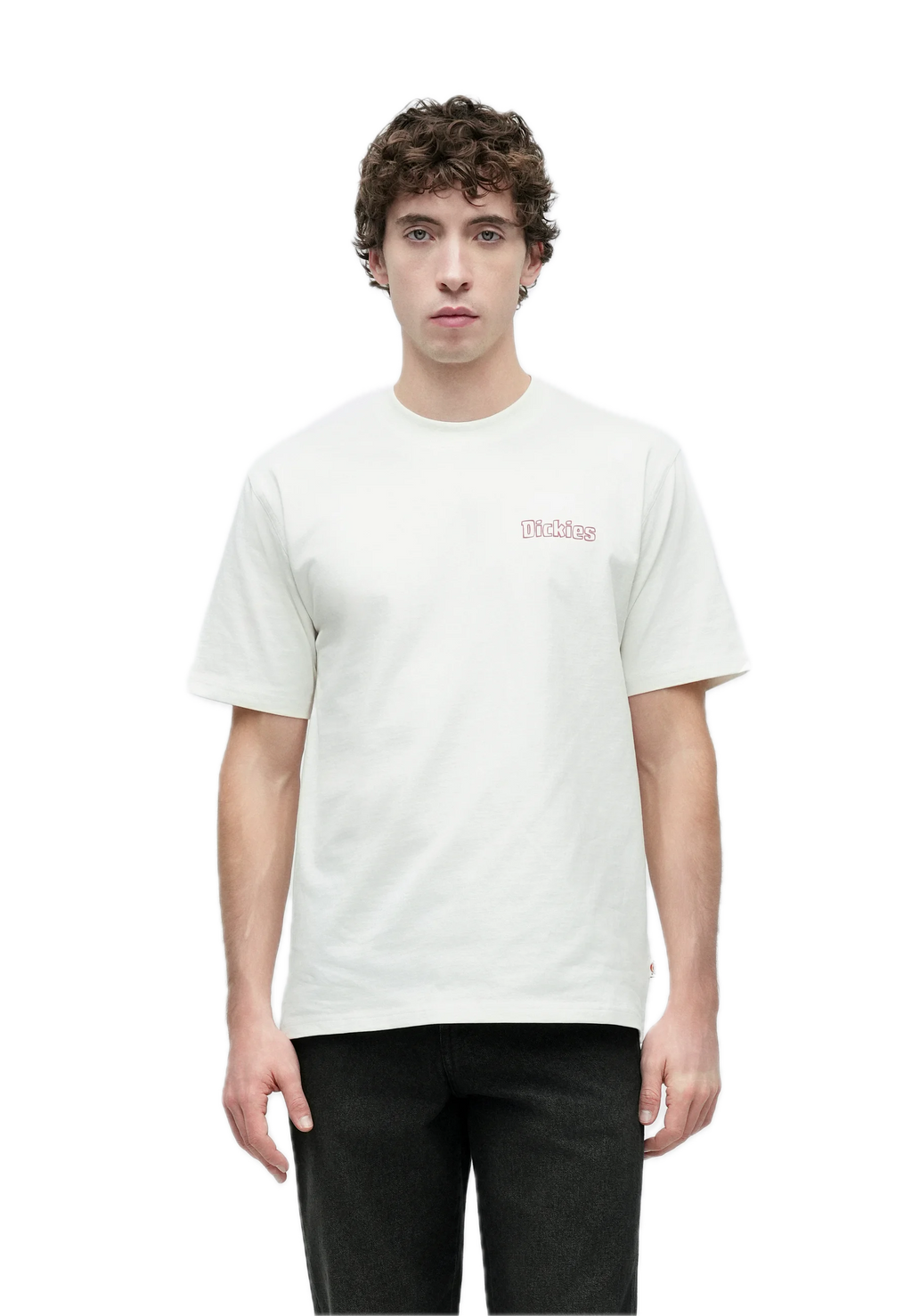 Dickies camiseta blanca