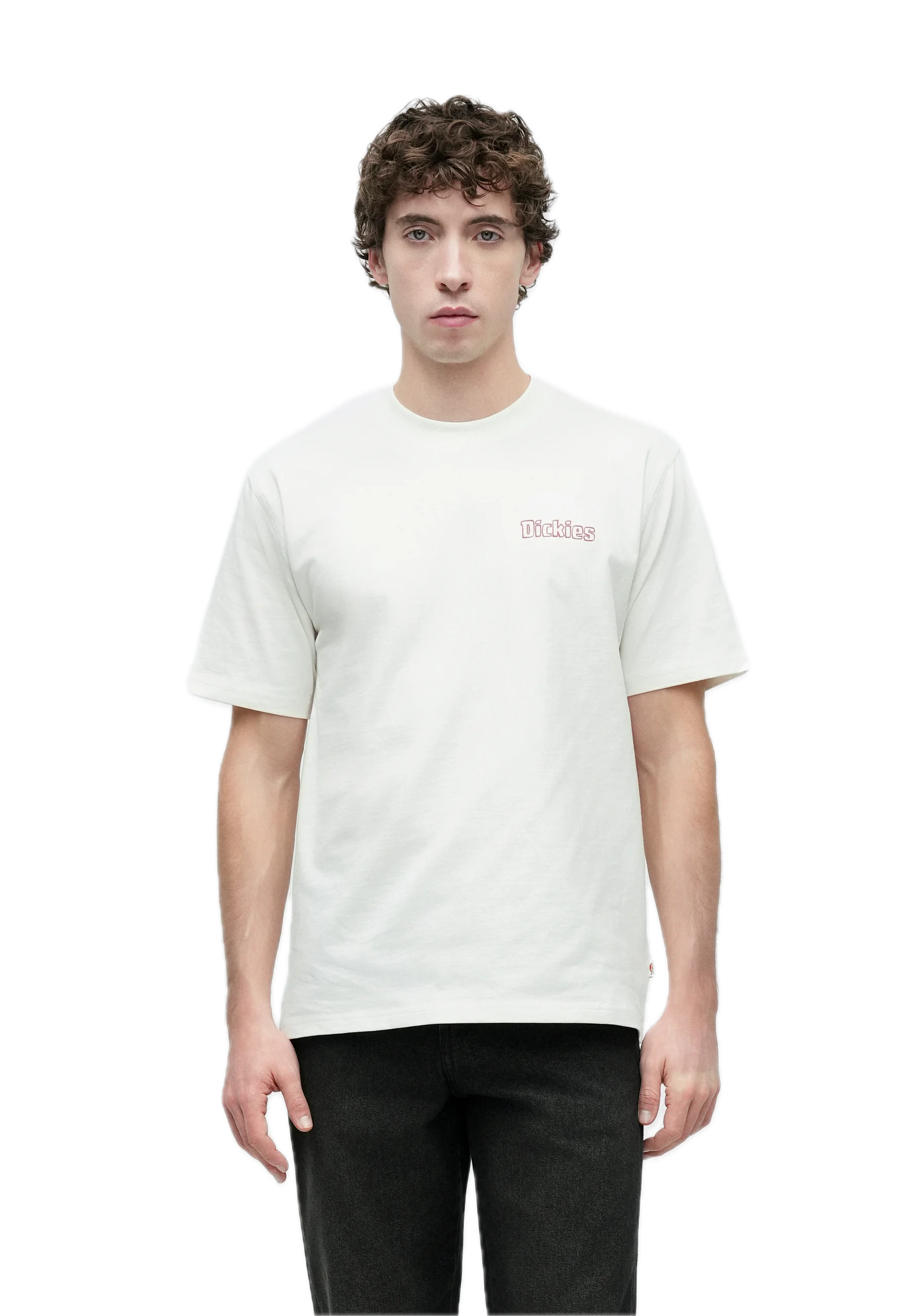 Dickies camiseta blanca