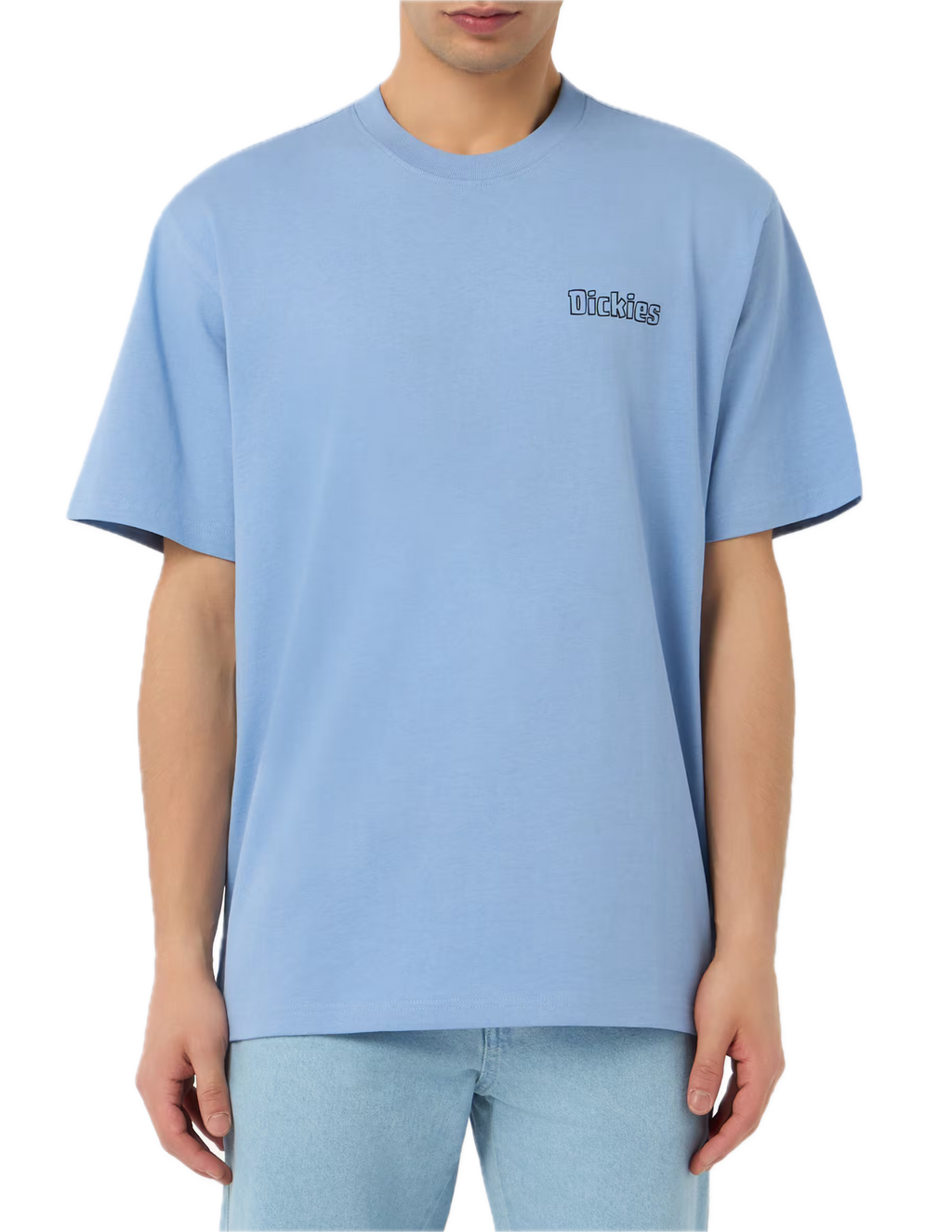 DICKIES CAMISETA FAIRLAWN AZUL
