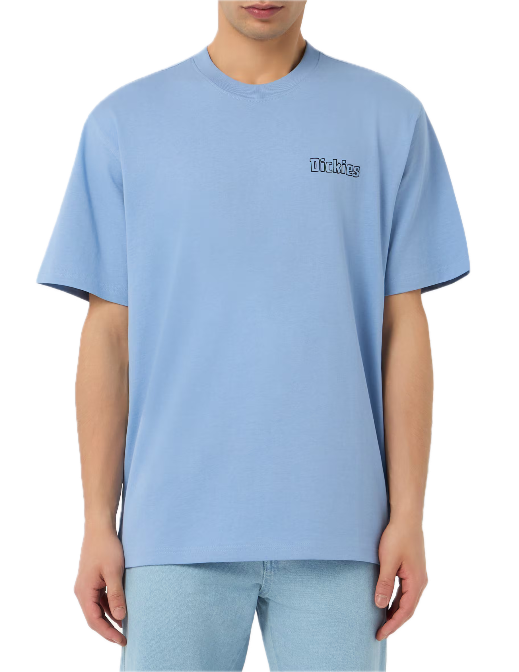 DICKIES CAMISETA FAIRLAWN AZUL