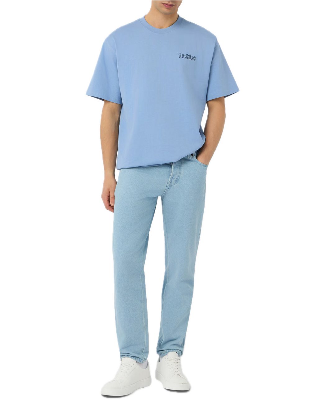 DICKIES CAMISETA FAIRLAWN AZUL