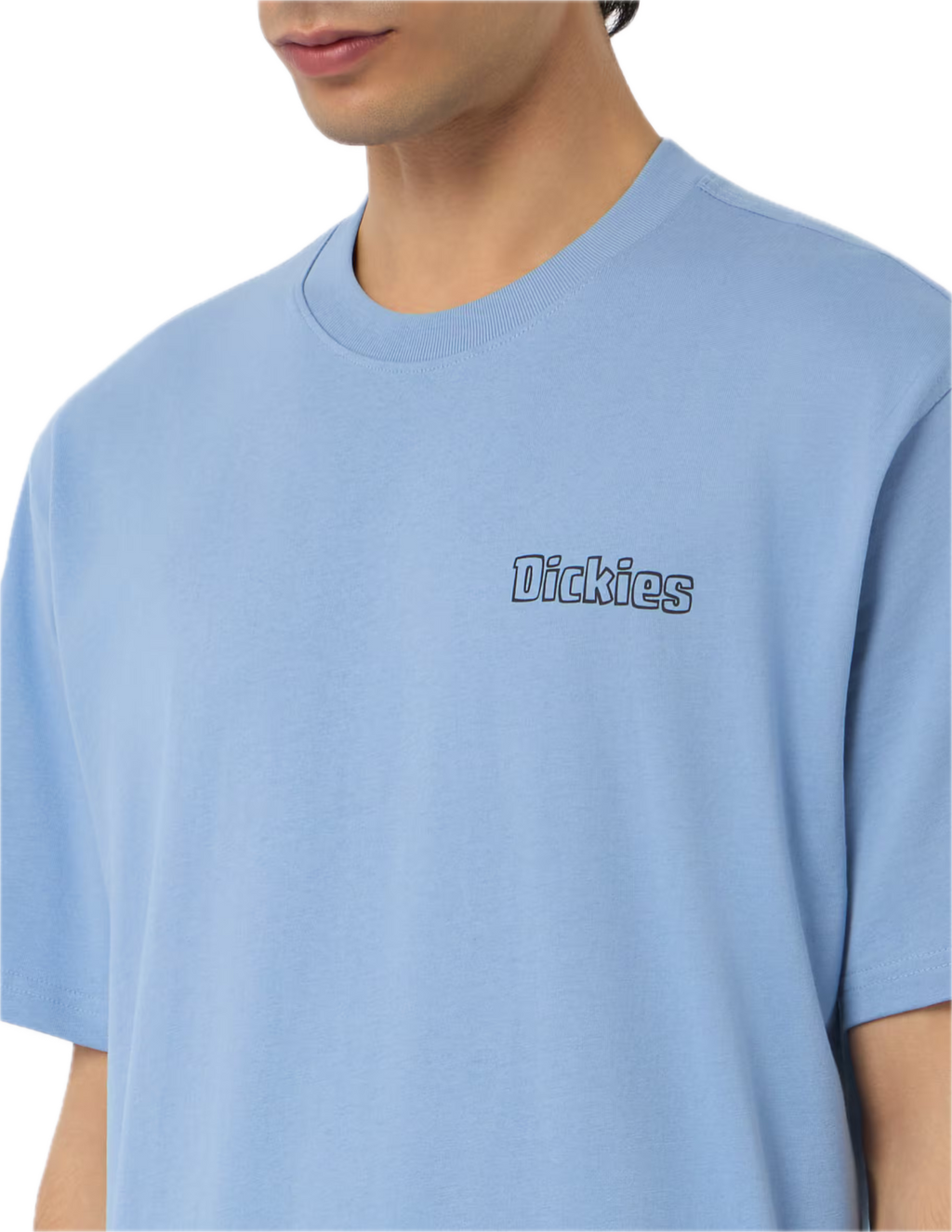 DICKIES CAMISETA FAIRLAWN AZUL