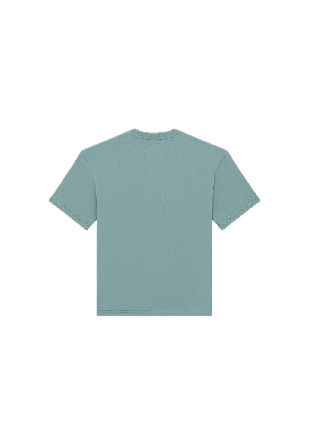 DICKIES CAMISETA POLK VERDE
