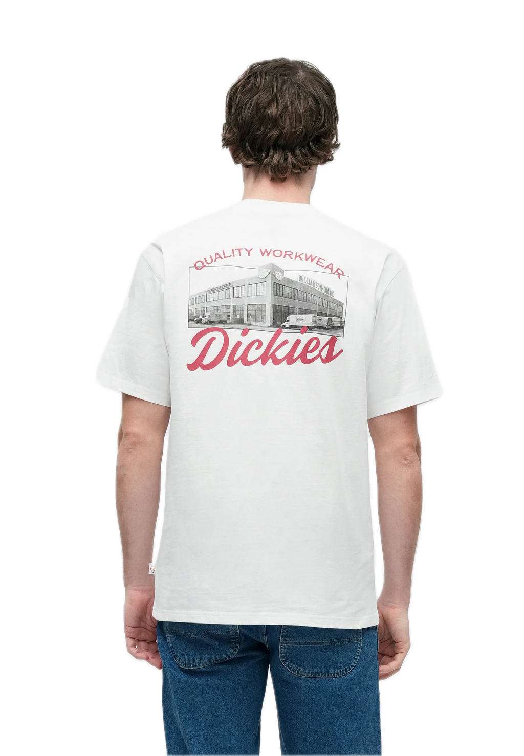 DICKIES CAMISETA WELLSVILLE BLANCA