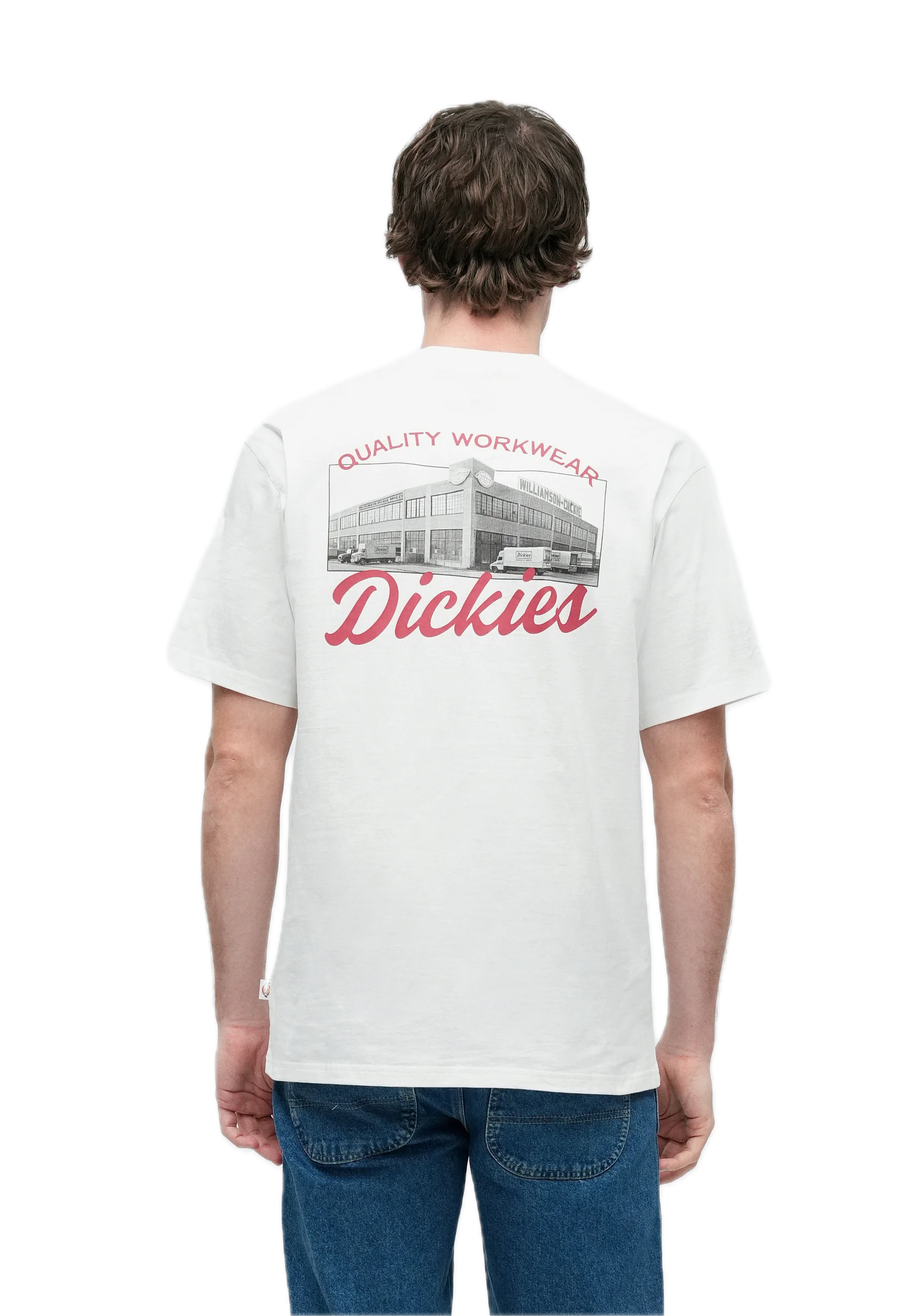 DICKIES CAMISETA WELLSVILLE BLANCA