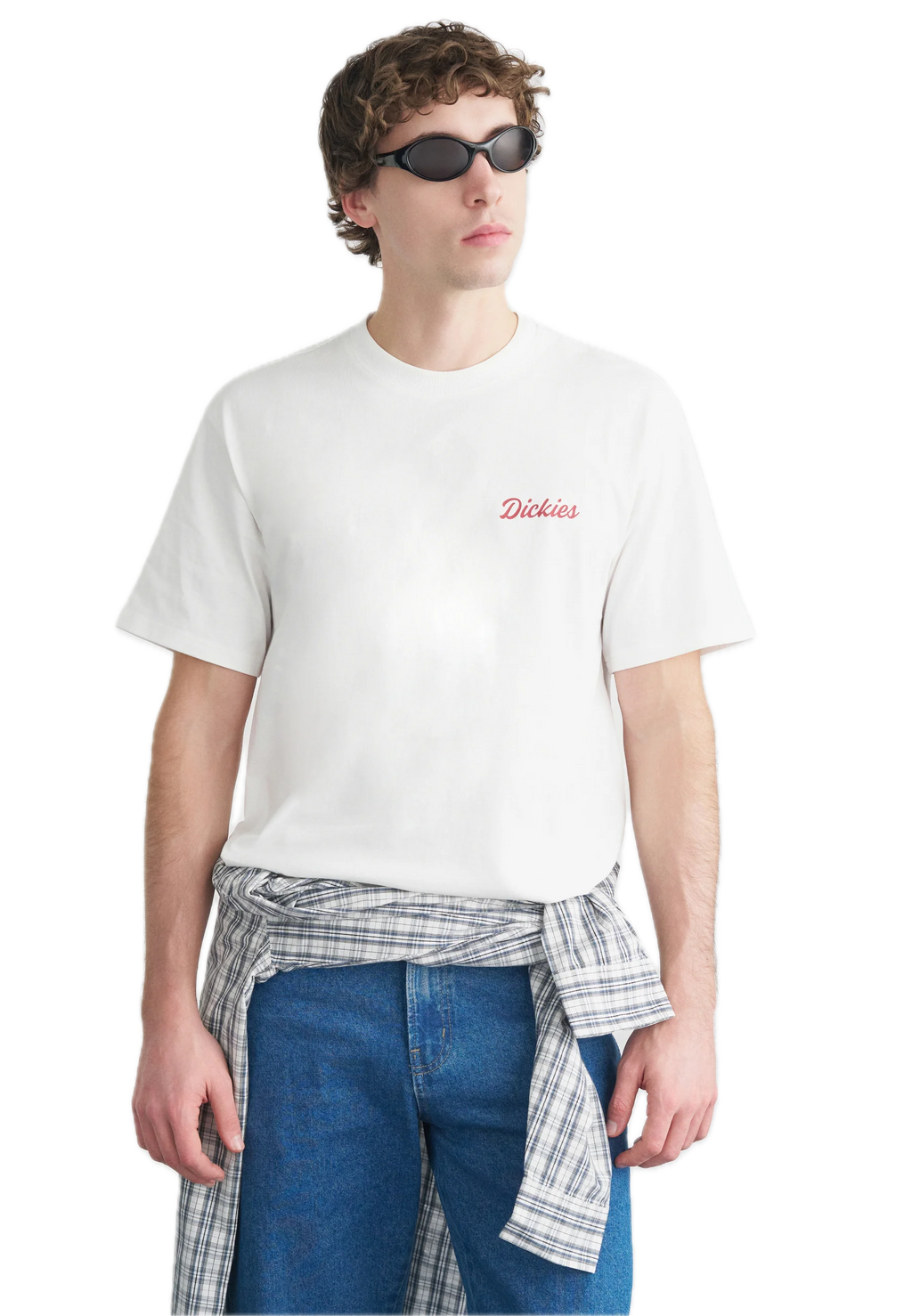 DICKIES CAMISETA WELLSVILLE BLANCA