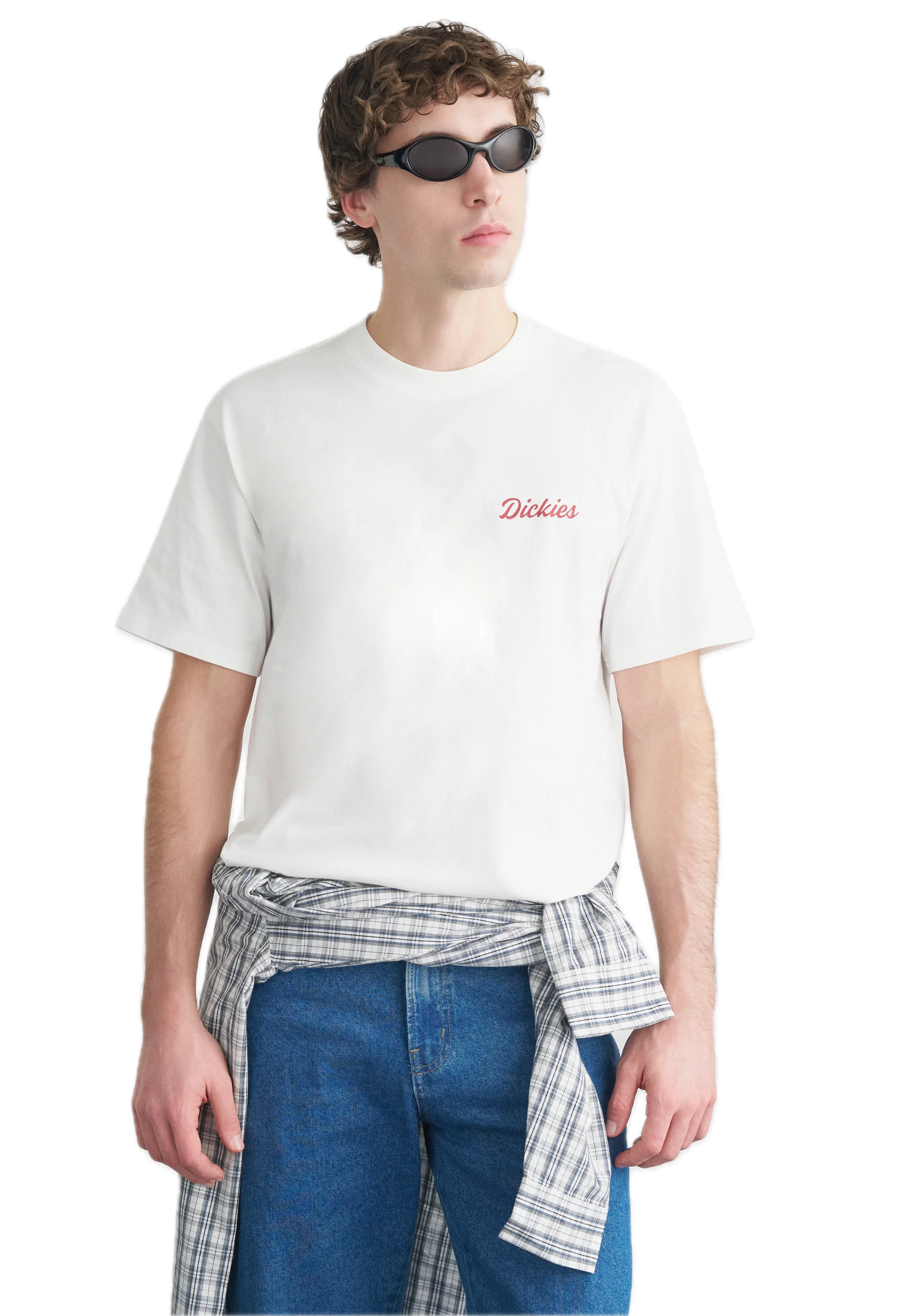 DICKIES CAMISETA WELLSVILLE BLANCA
