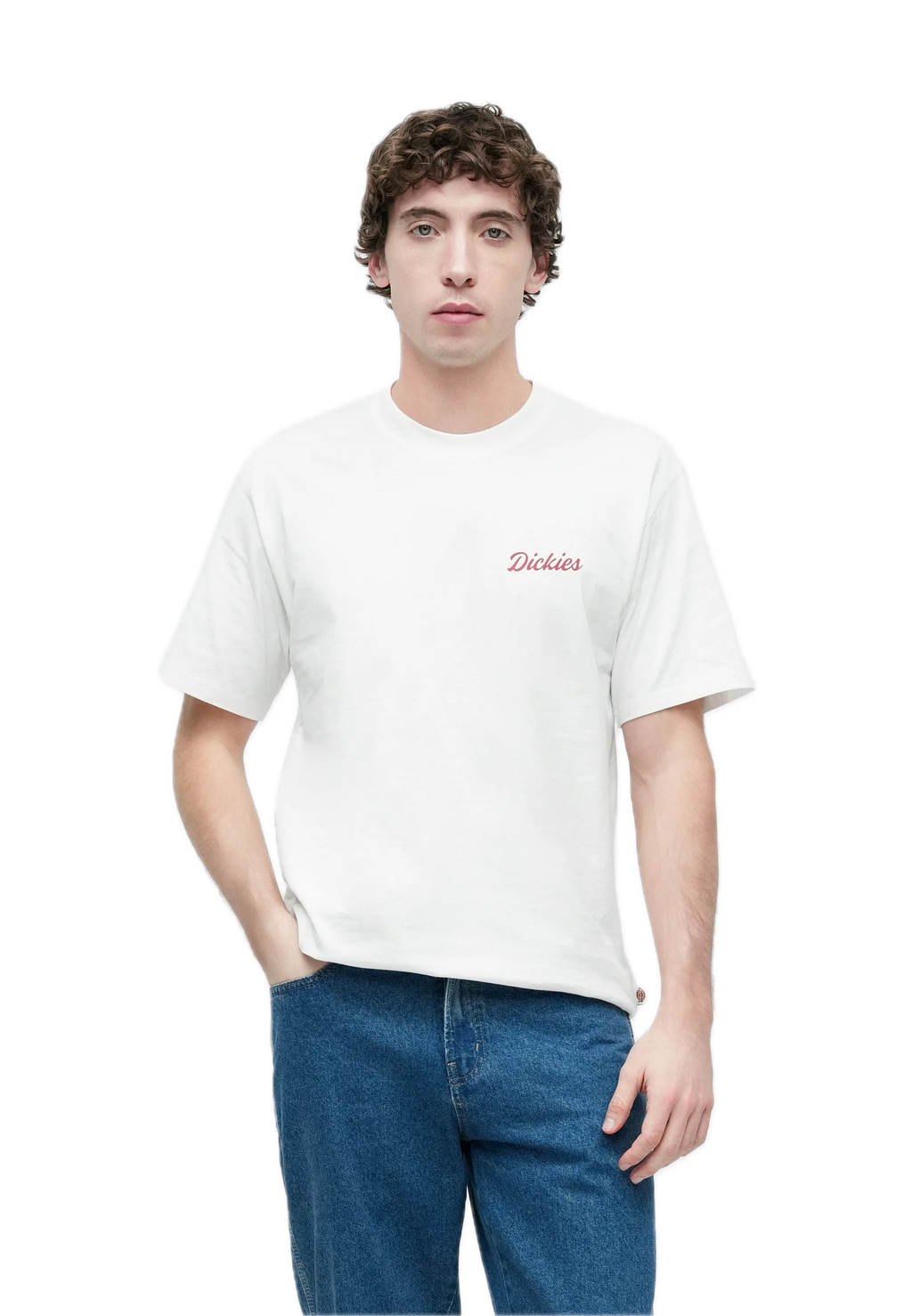 DICKIES CAMISETA WELLSVILLE BLANCA