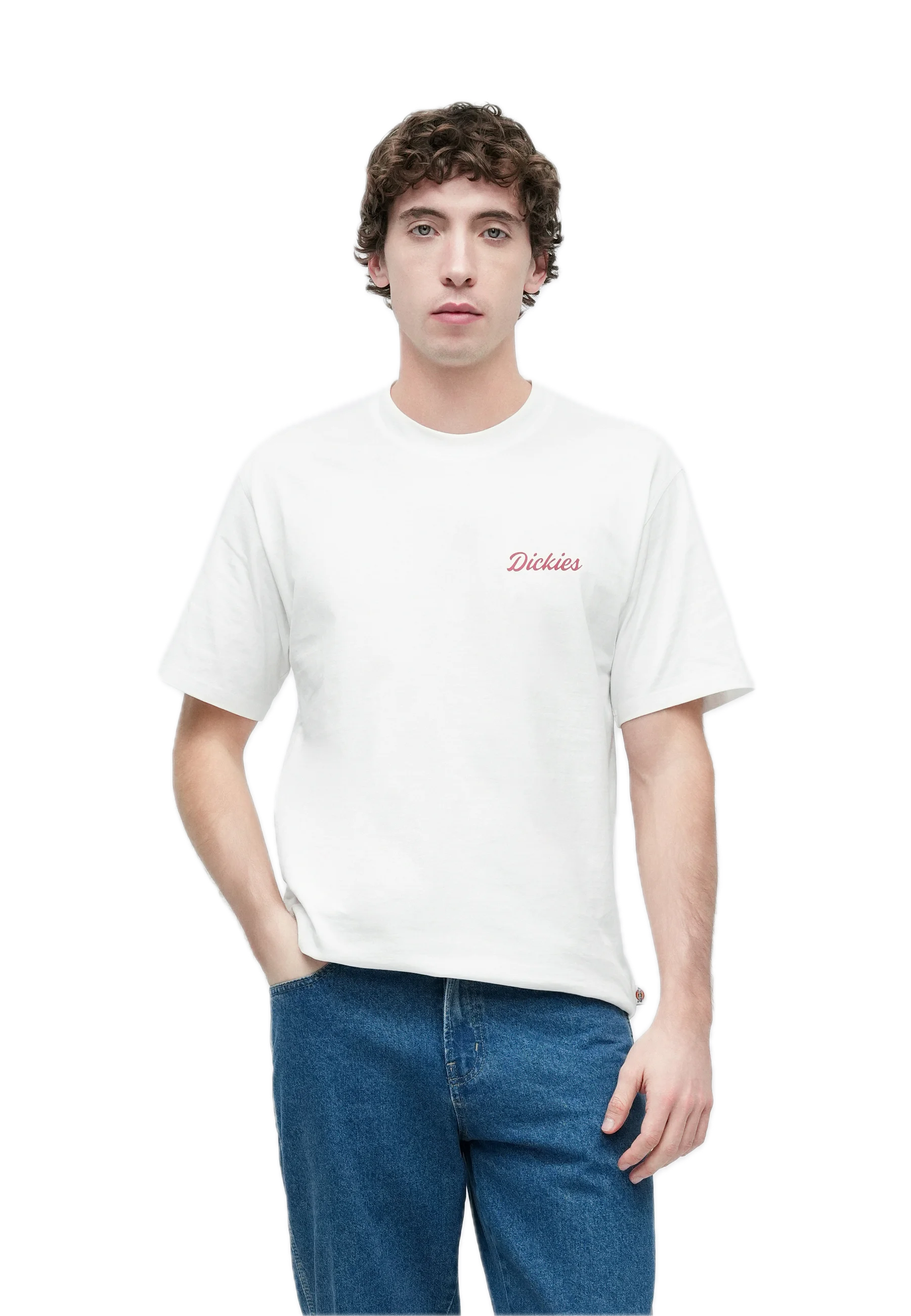 DICKIES CAMISETA WELLSVILLE BLANCA