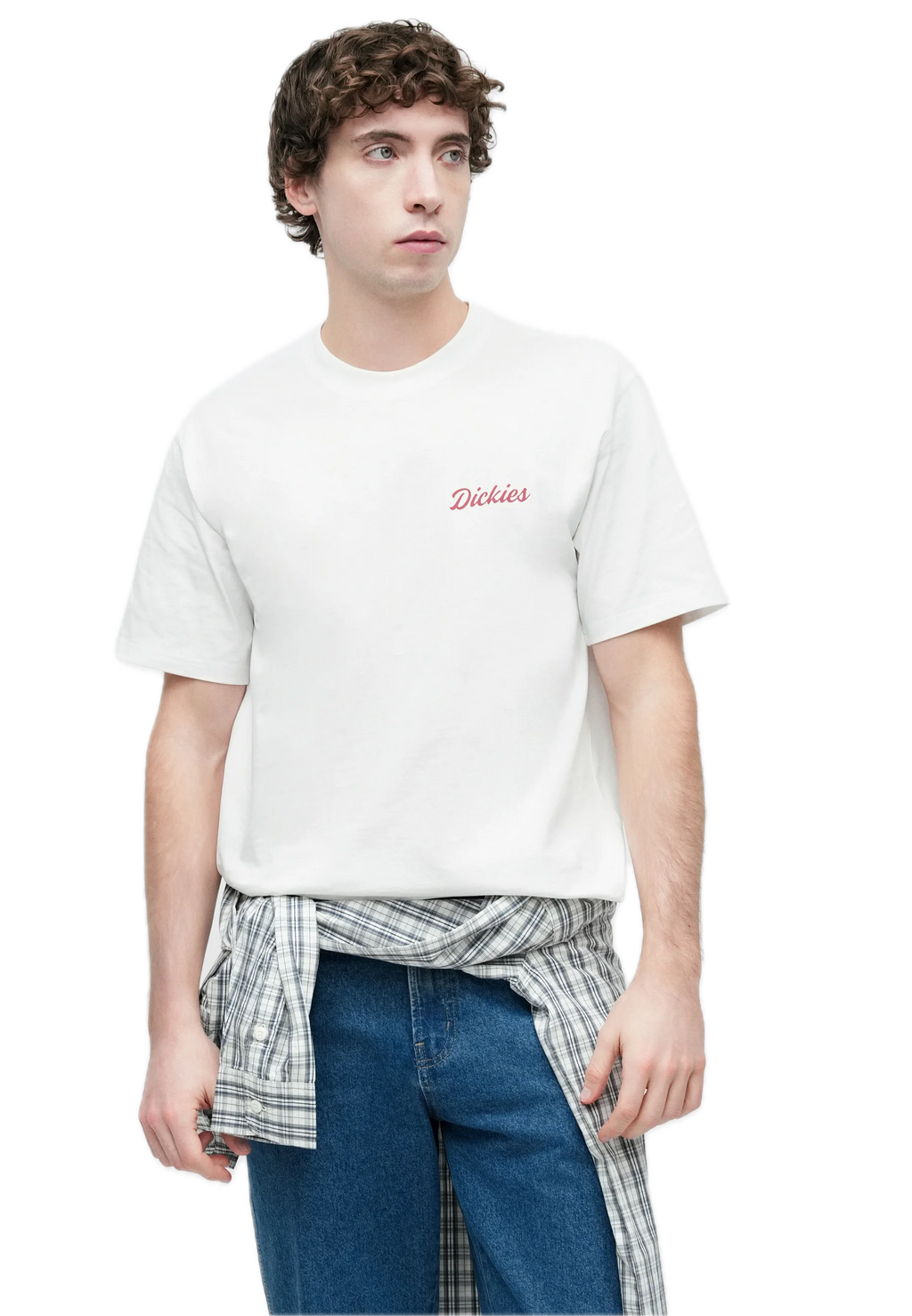 DICKIES CAMISETA WELLSVILLE BLANCA