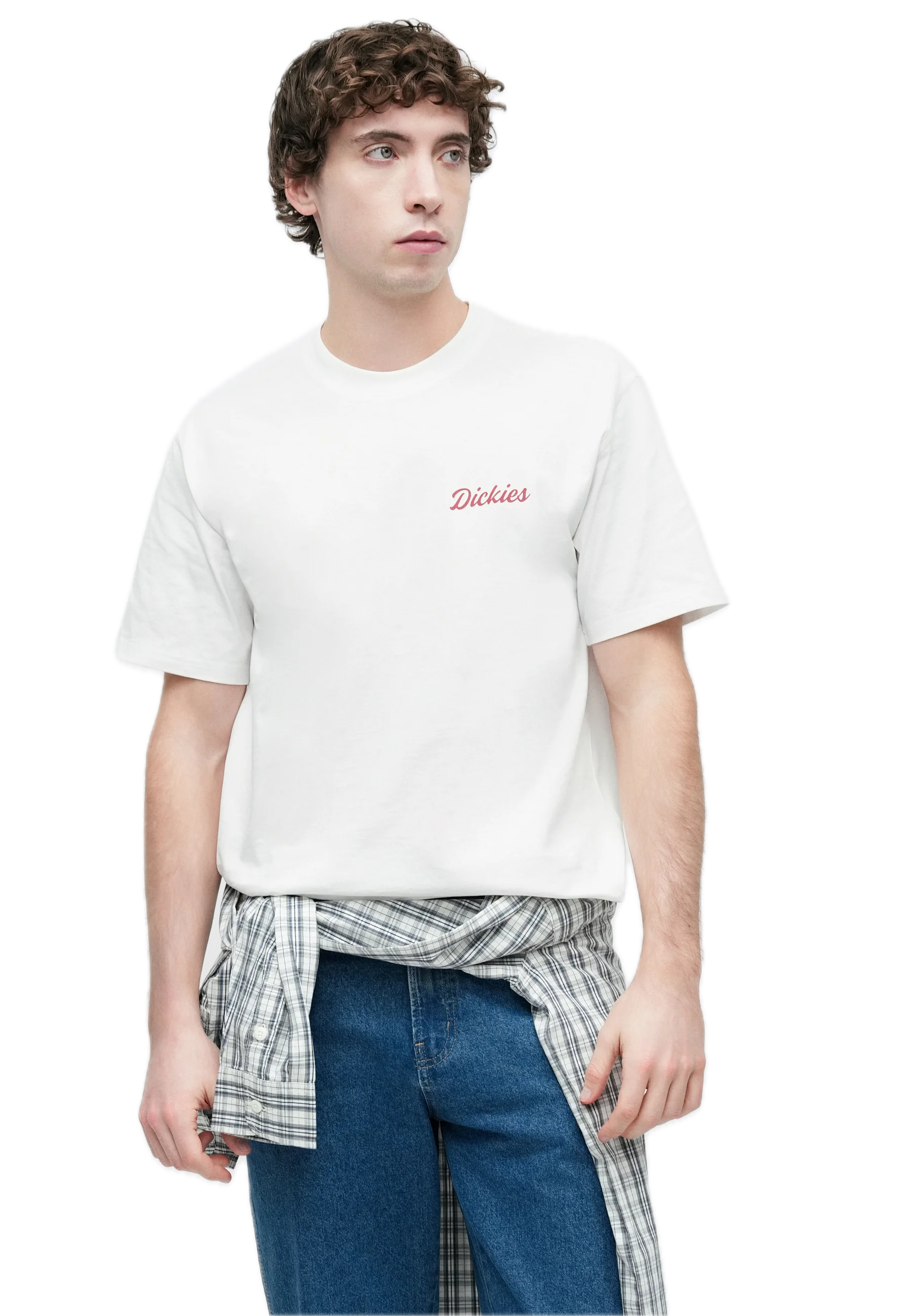 DICKIES CAMISETA WELLSVILLE BLANCA