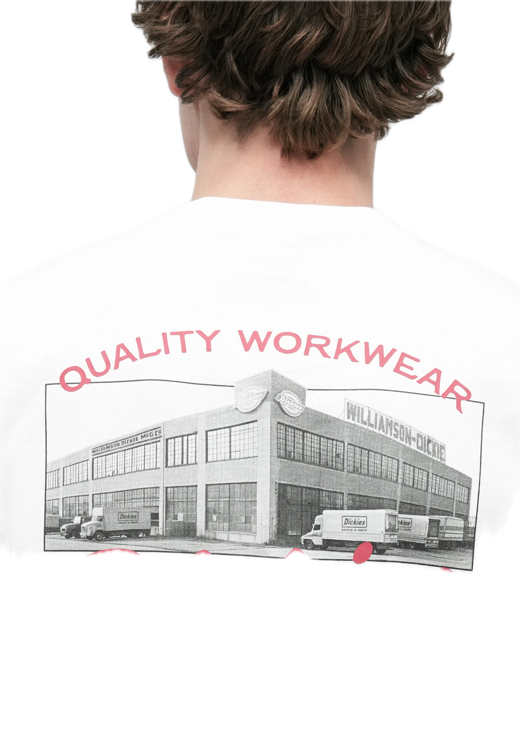 DICKIES CAMISETA WELLSVILLE BLANCA