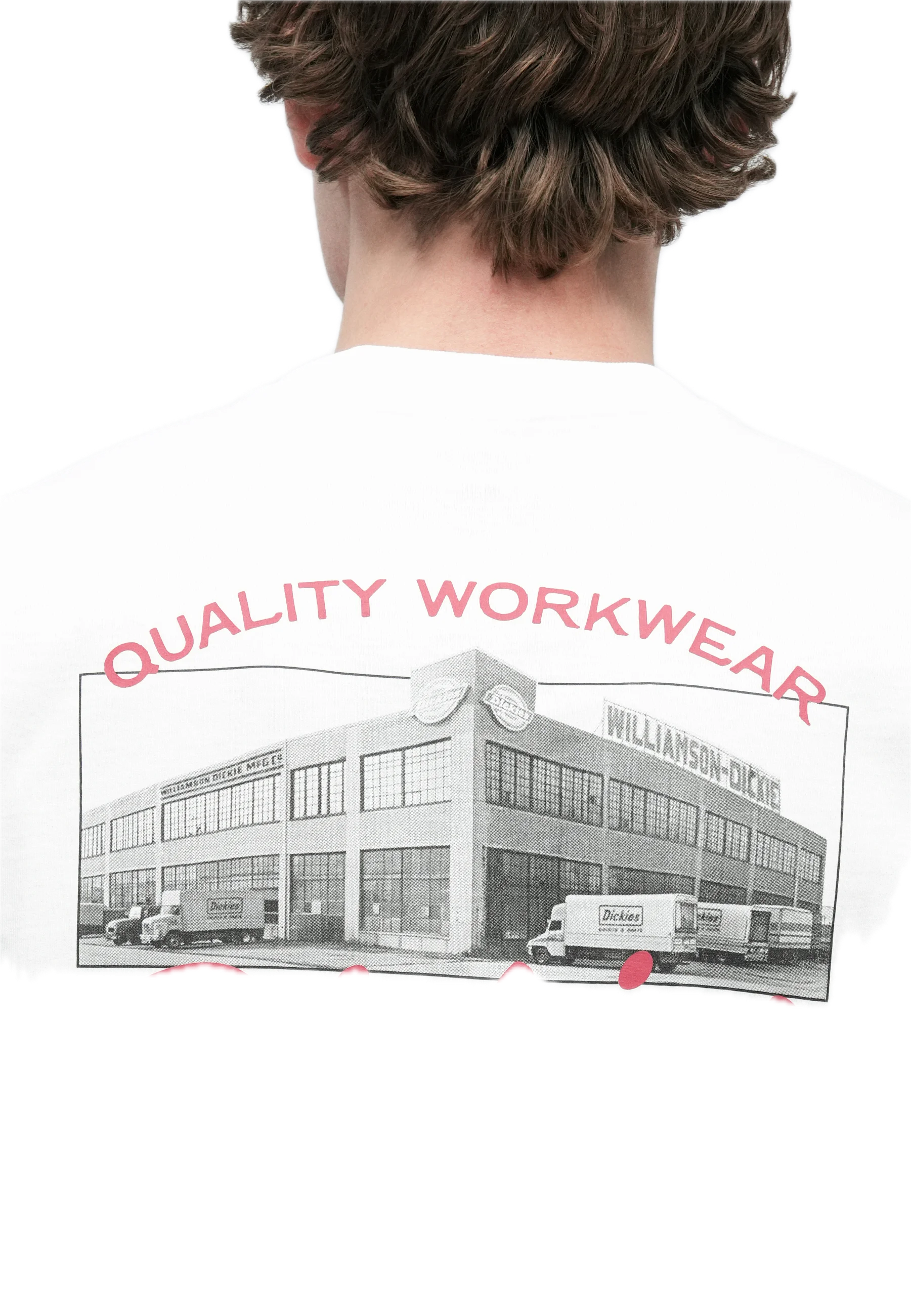 DICKIES CAMISETA WELLSVILLE BLANCA
