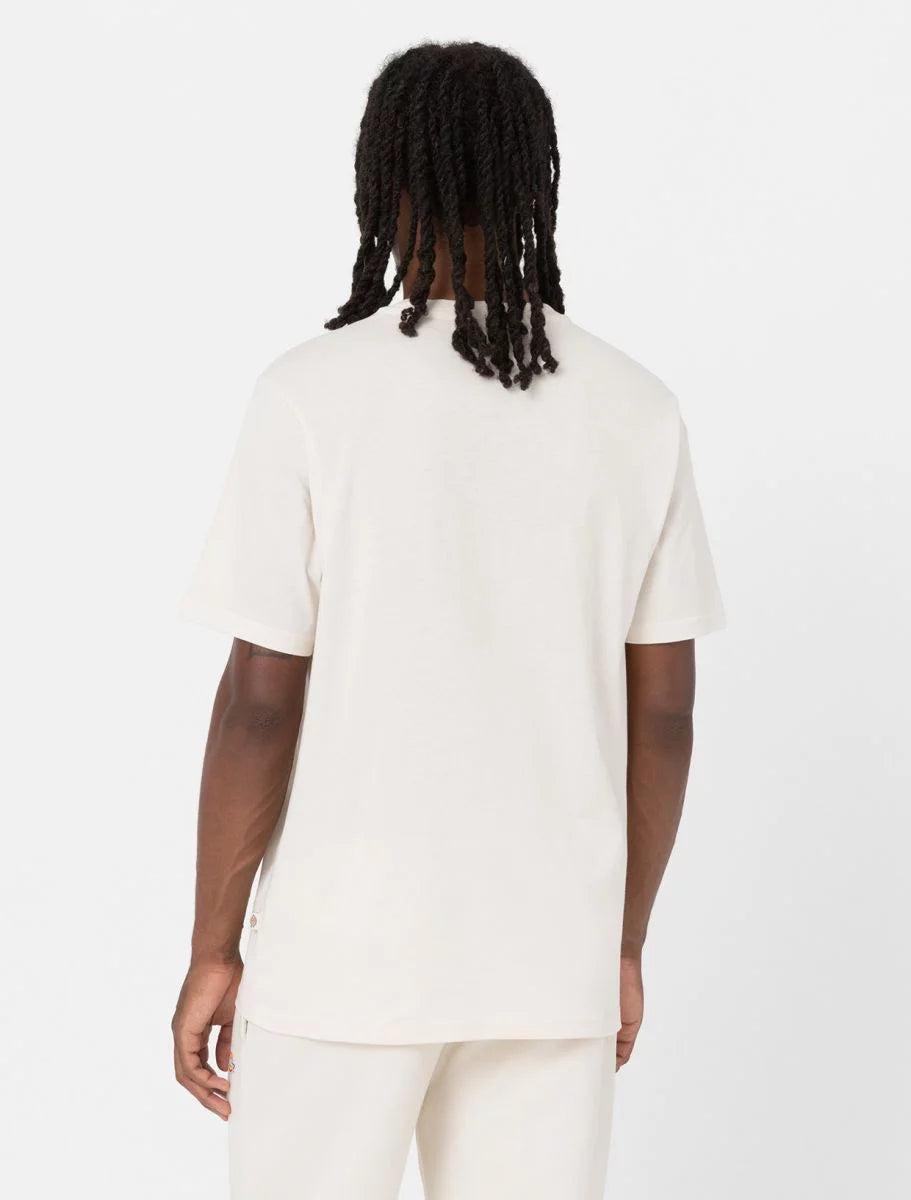 DICKIES MAPLETON CAMISETA GRIS CLARO
