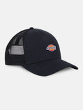 DICKIES HANSTON GORRA NEGRA