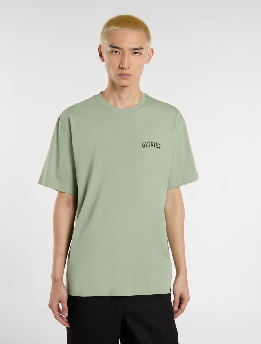 DICKIES SNAKE CAMISETA AZUL CLARO