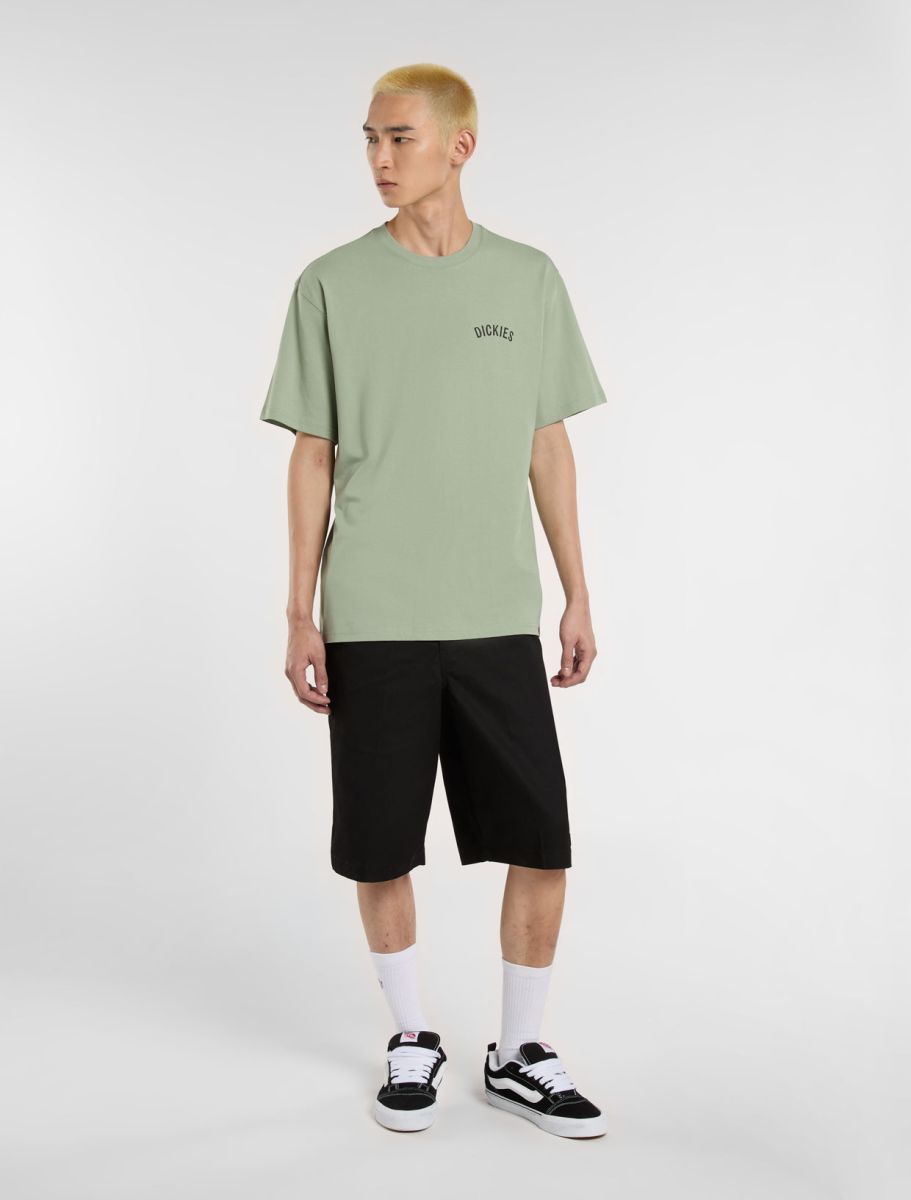 DICKIES SNAKE CAMISETA AZUL CLARO