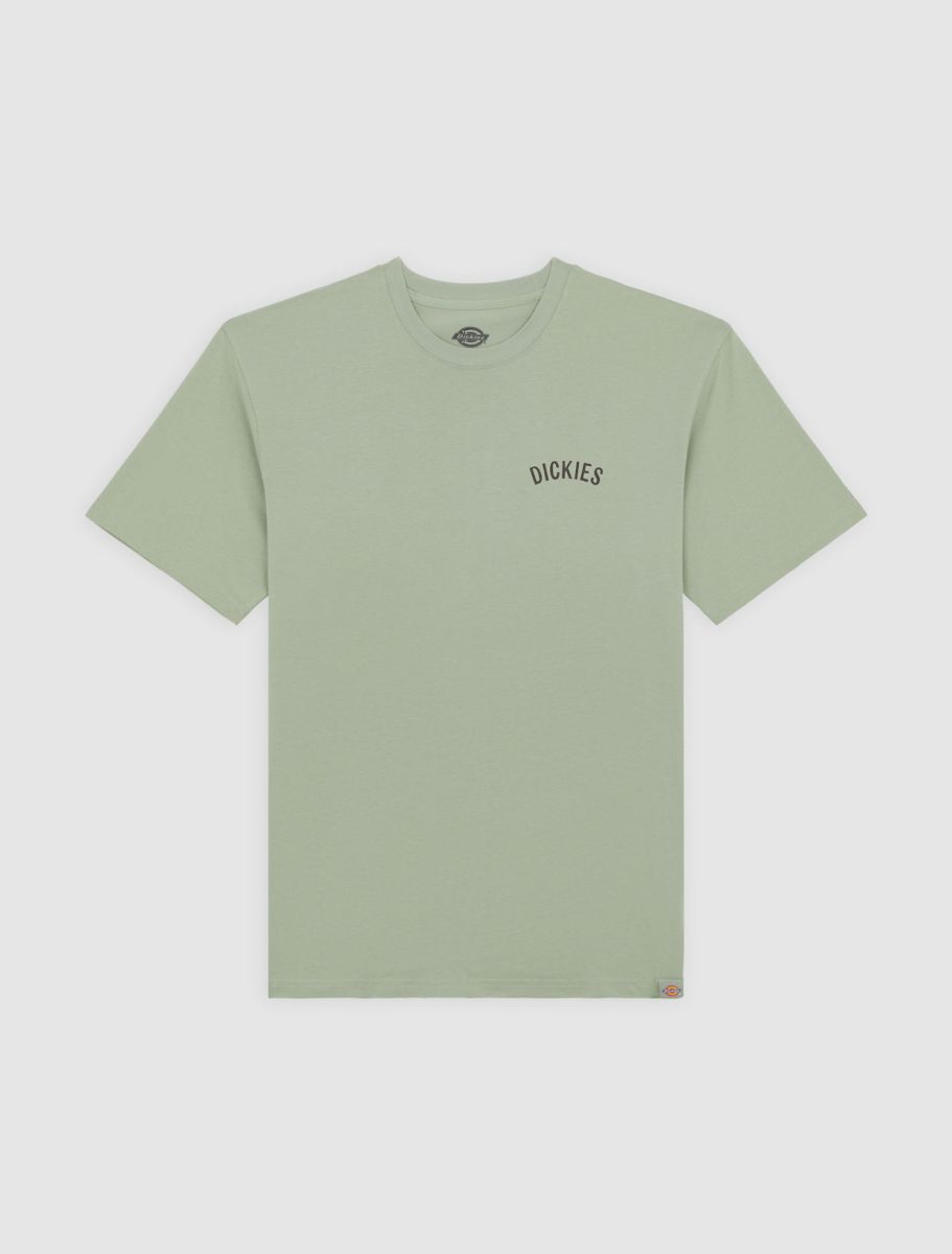 DICKIES SNAKE CAMISETA AZUL CLARO