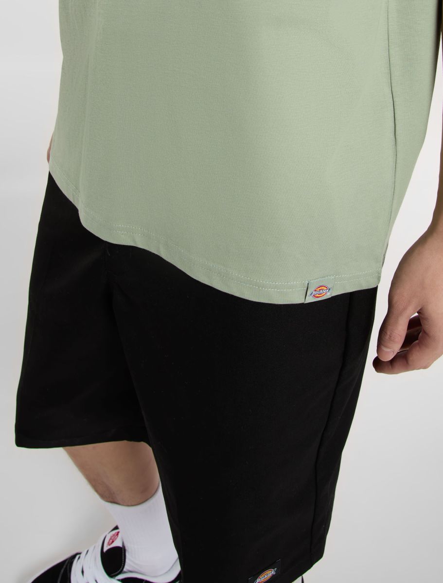 DICKIES SNAKE CAMISETA AZUL CLARO