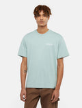 DICKIES SCRIPT CAMISETA AZUL