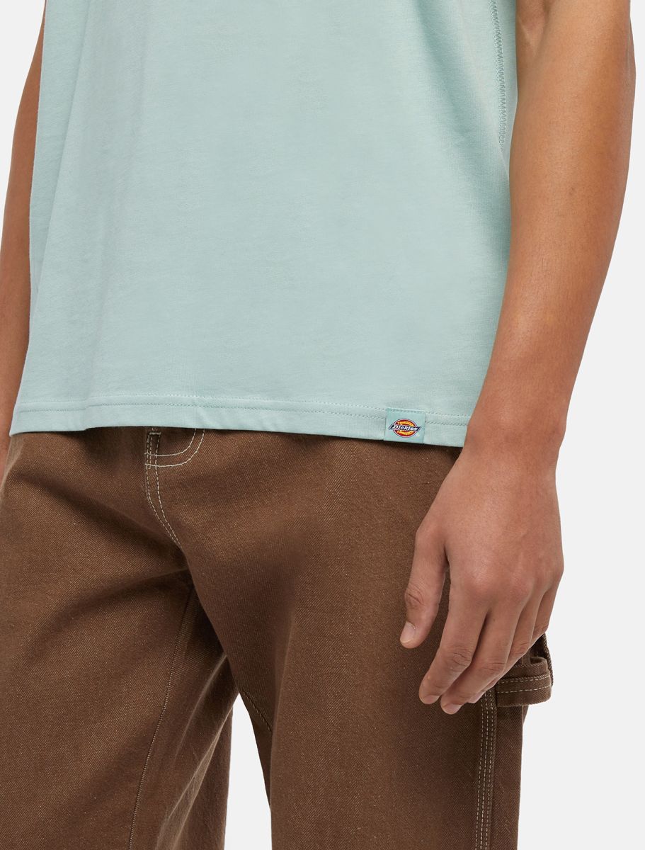 DICKIES SCRIPT CAMISETA AZUL