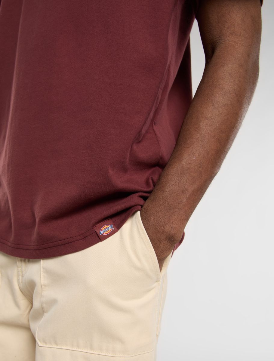 DICKIES BURNS CAMISETA ANDORRA