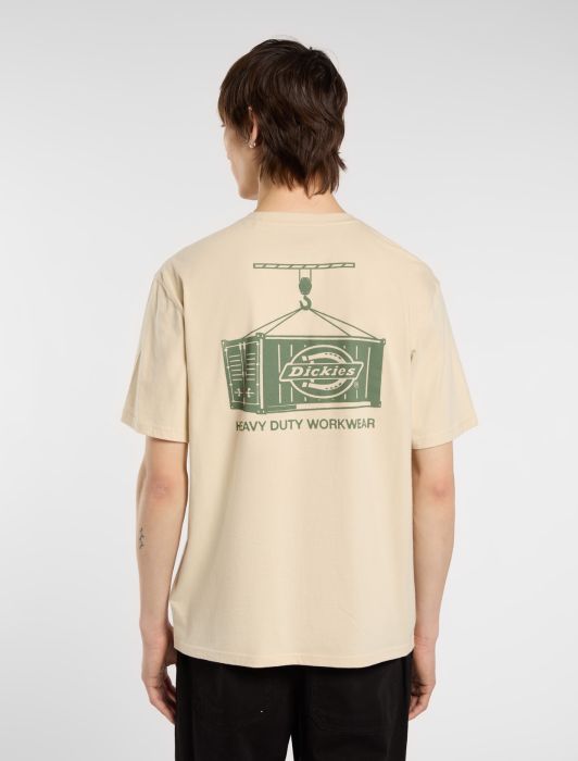 DICKIES APISON CAMISETA ARENA