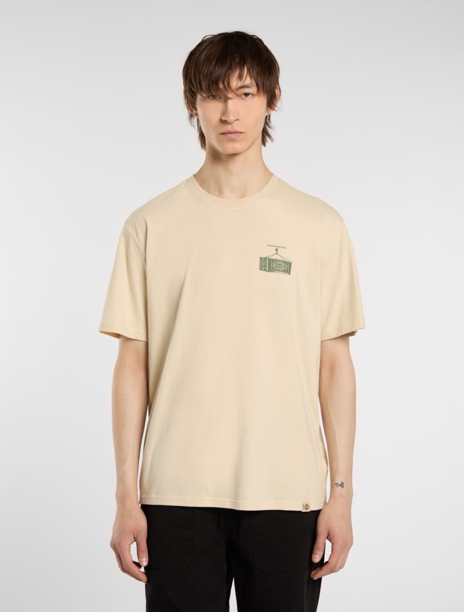 DICKIES APISON CAMISETA ARENA