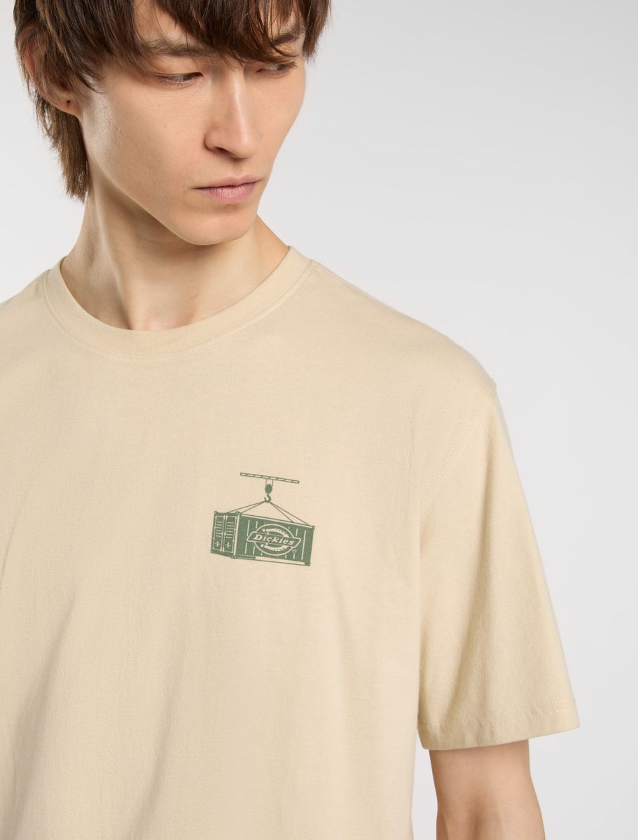 DICKIES APISON CAMISETA ARENA