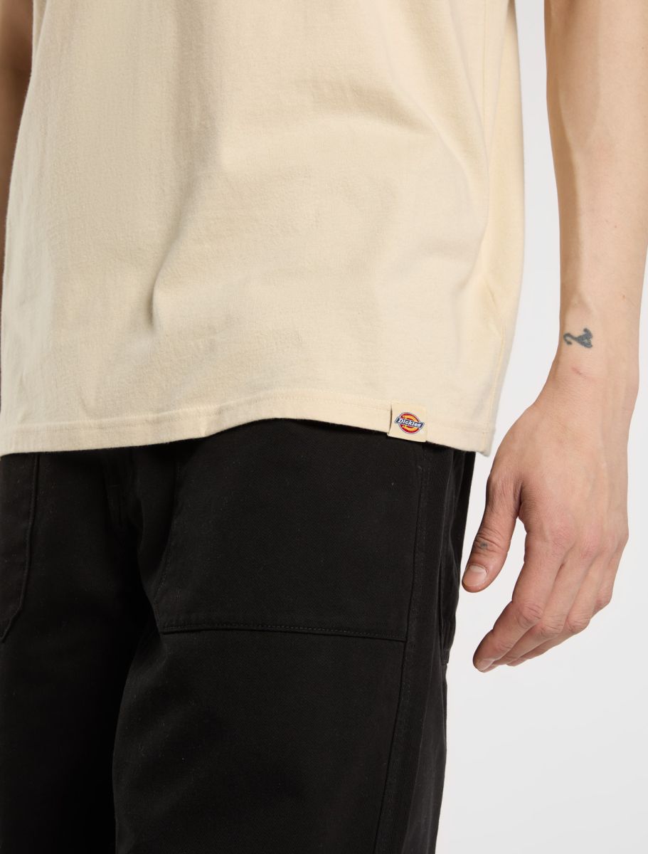 DICKIES APISON CAMISETA ARENA
