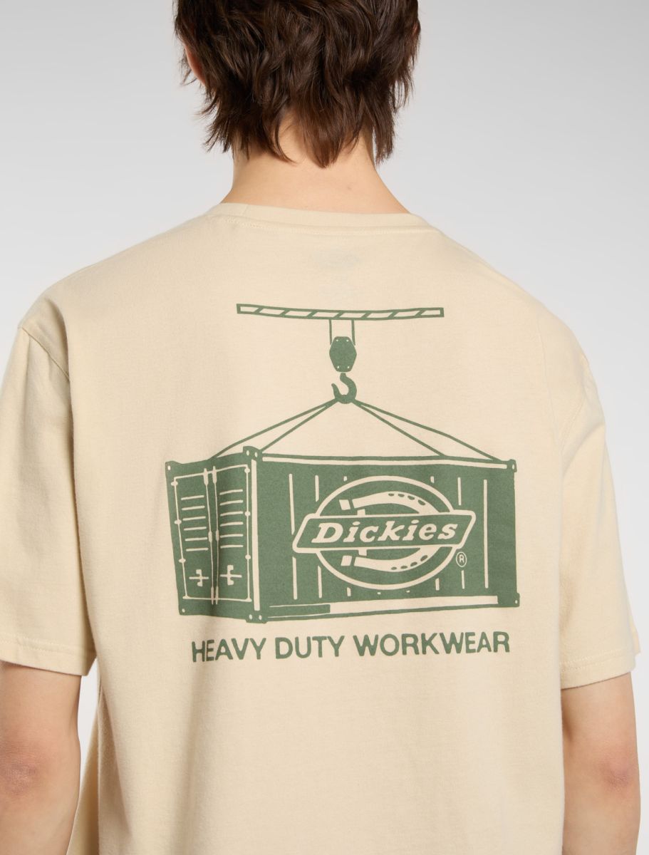 DICKIES APISON CAMISETA ARENA