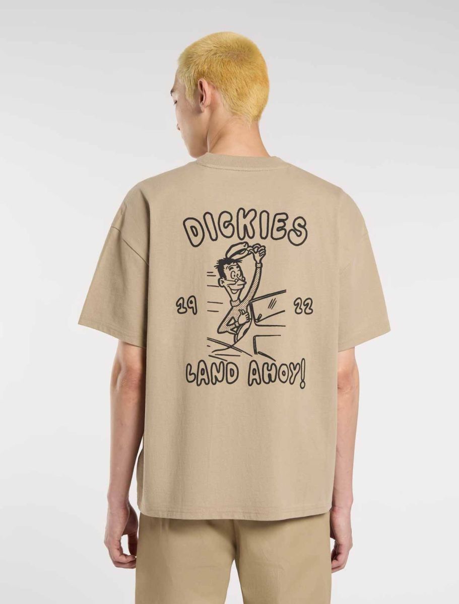 DICKIES CAMISETA RELAXED FIT ARENA