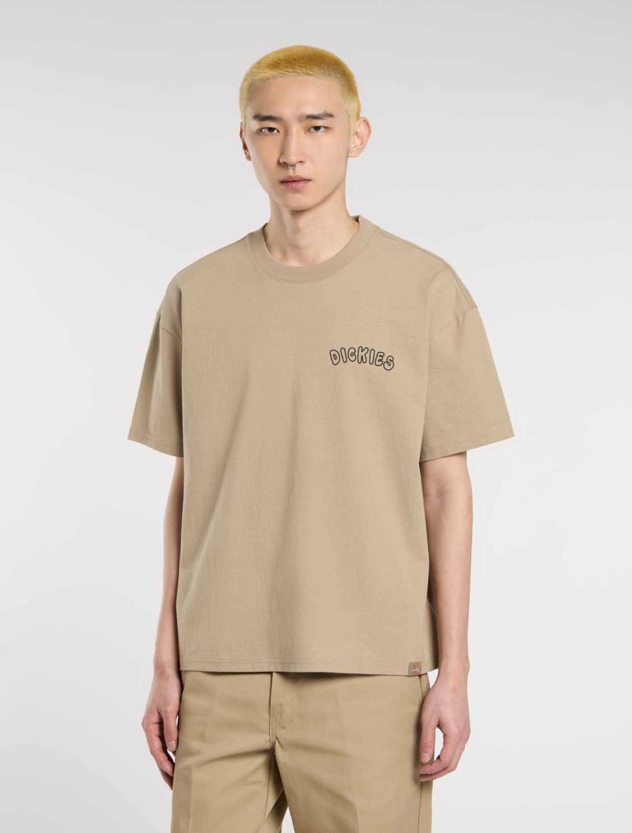 DICKIES CAMISETA RELAXED FIT ARENA