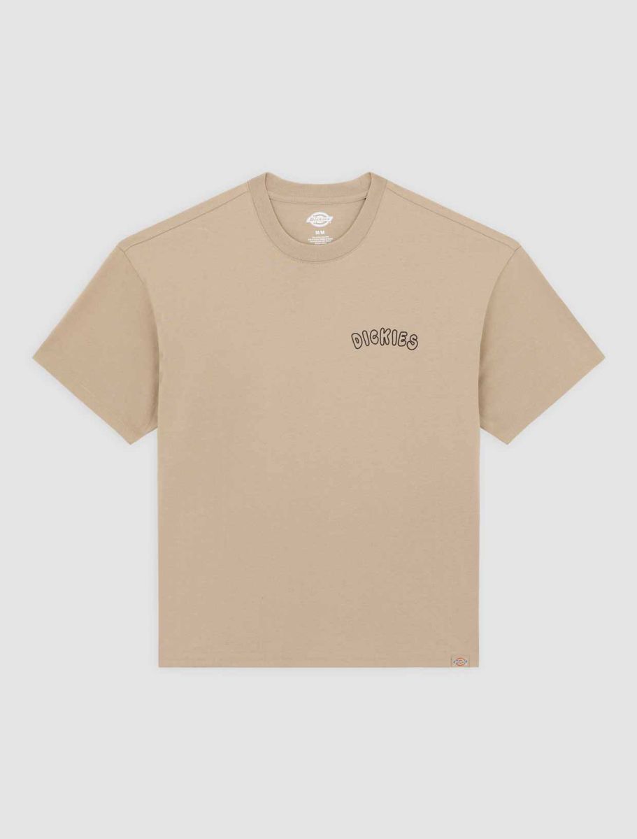 DICKIES CAMISETA RELAXED FIT ARENA