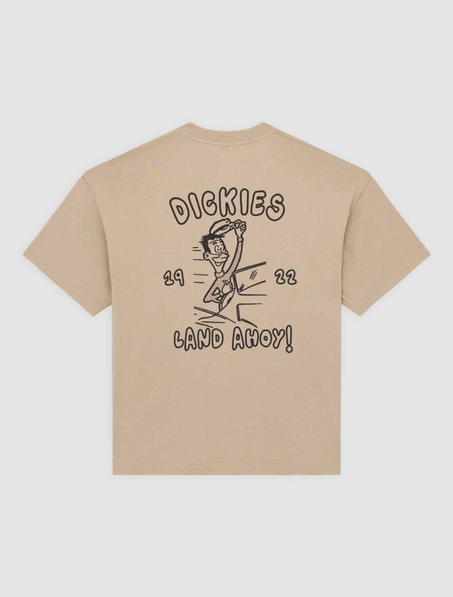 DICKIES CAMISETA RELAXED FIT ARENA