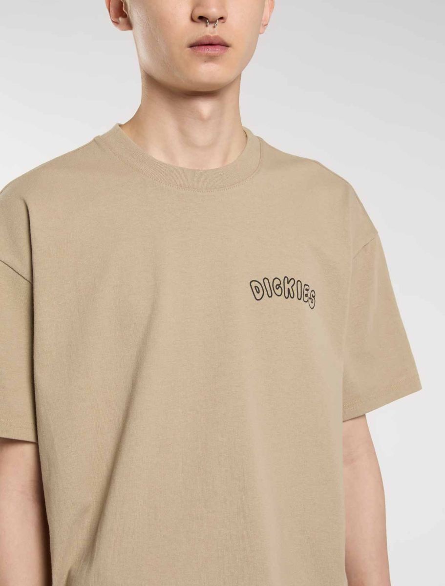 DICKIES CAMISETA RELAXED FIT ARENA