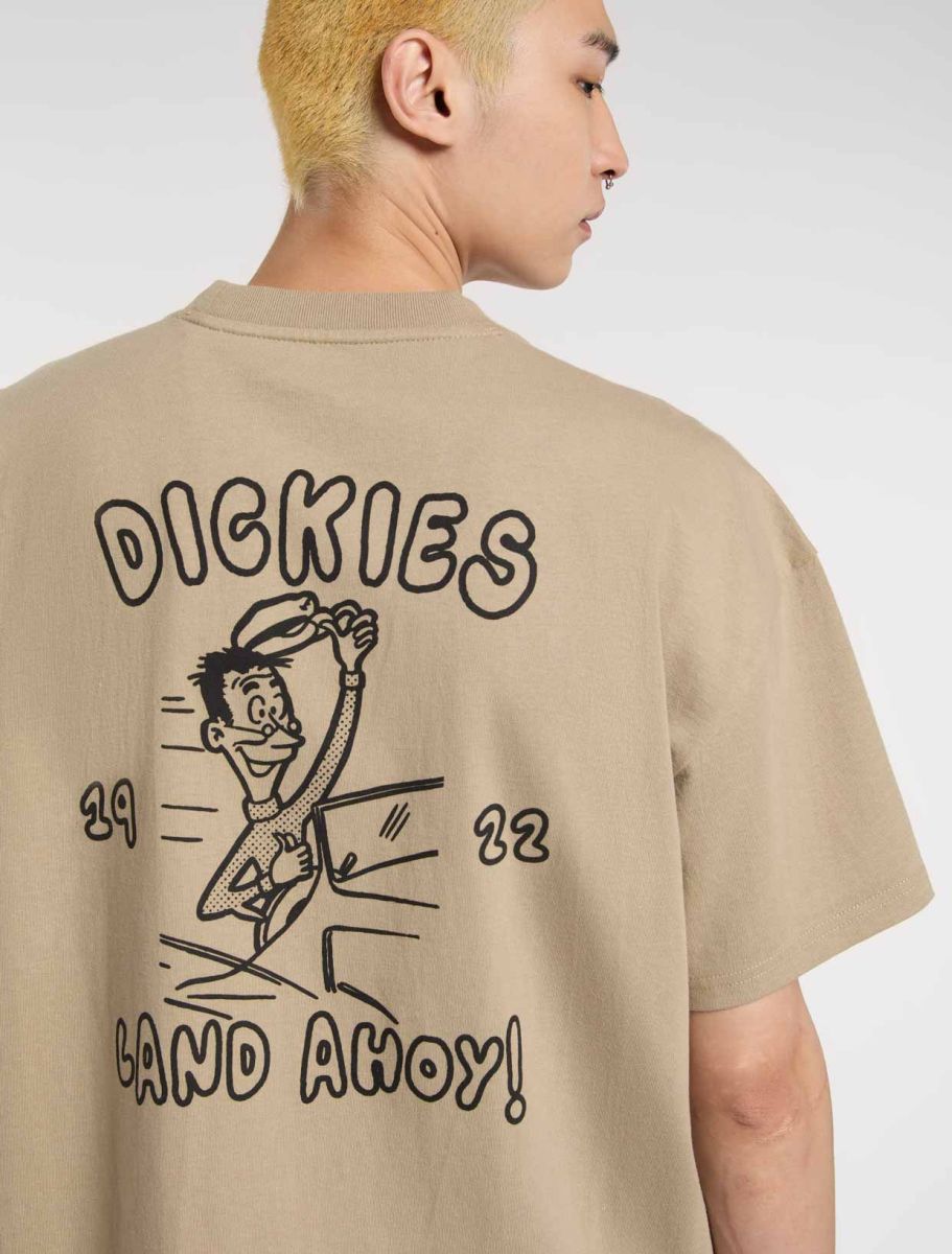 DICKIES CAMISETA RELAXED FIT ARENA
