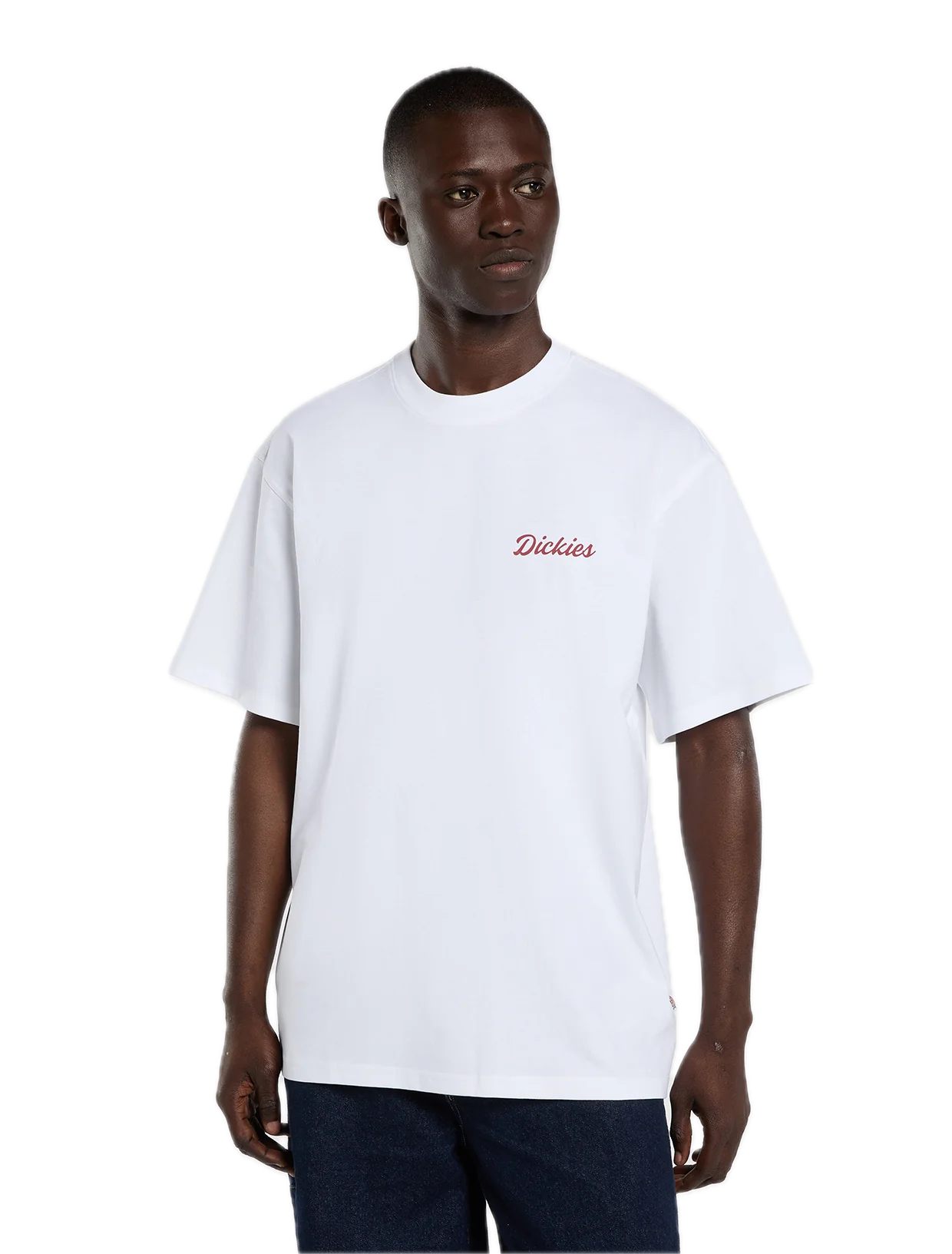 DICKIES WELLSVILLE CAMISETA   BLANCA