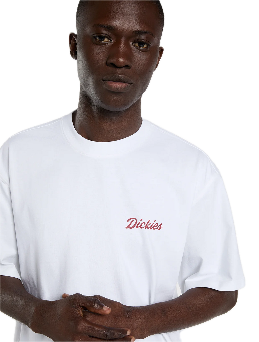 DICKIES WELLSVILLE CAMISETA   BLANCA
