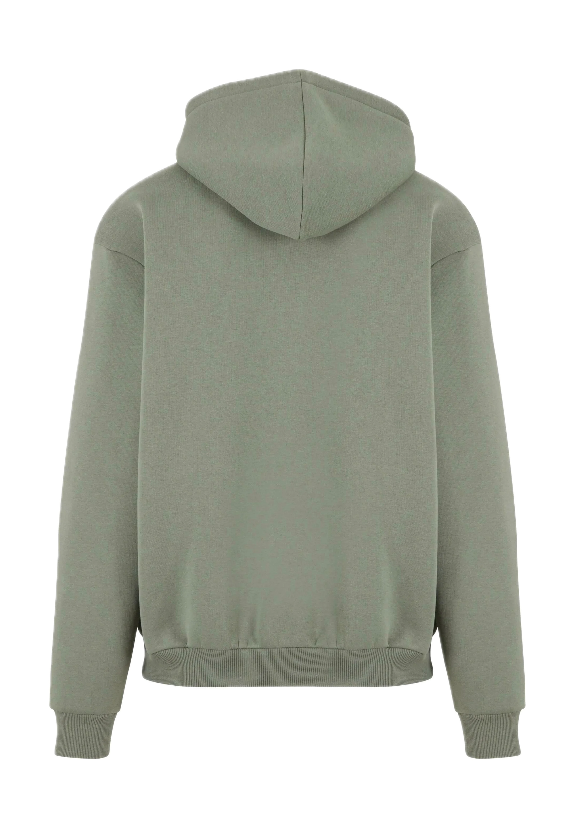 KARL KANI SUDADERA CON CREMALLERA Y CAPUCHA OVERSIZE SMALL SIGNATURE ESSE   VERDE